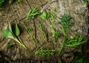 herbs-ga527e4f3a_1280.jpg