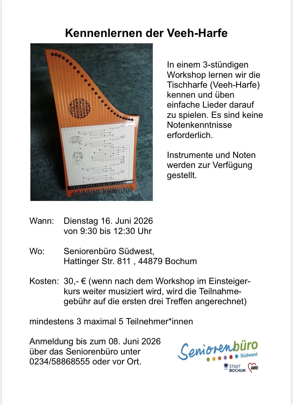 Veehharfe Workshop.jpeg