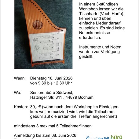 Veehharfe Workshop.jpeg