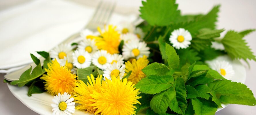 congerdesign-herbs-5140754_1920.jpg