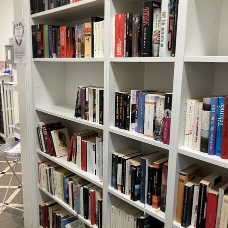Bücherregal.jpg
