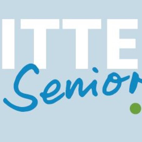 Logo MITTEndrin.JPG
