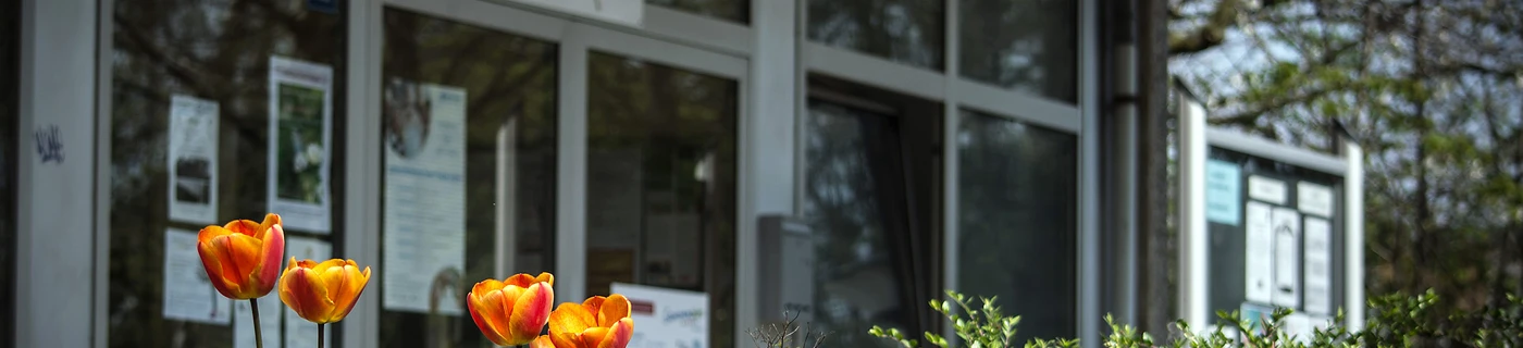 Seniorenbüro Süd