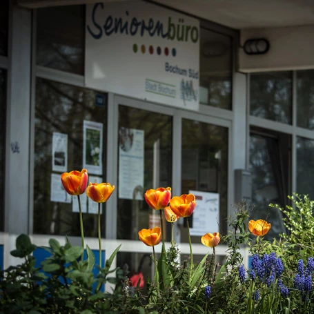 Seniorenbüro Süd